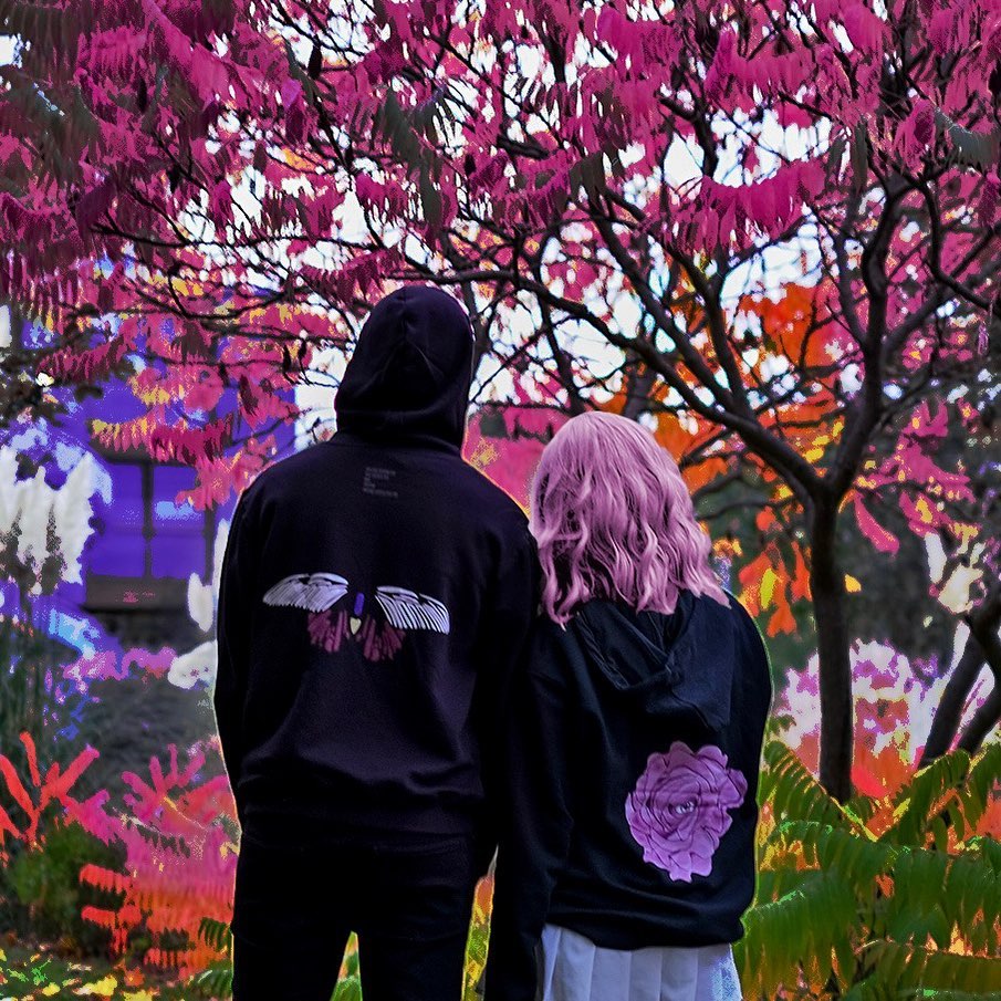 The Butterfly